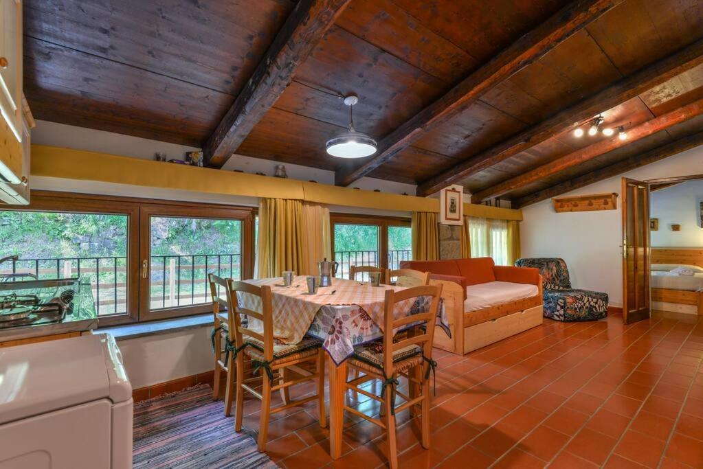 38-Volpini House In Amiata - Val D'Orcia, Saturnia, Feste&Sagre Castel del Piano  Ngoại thất bức ảnh