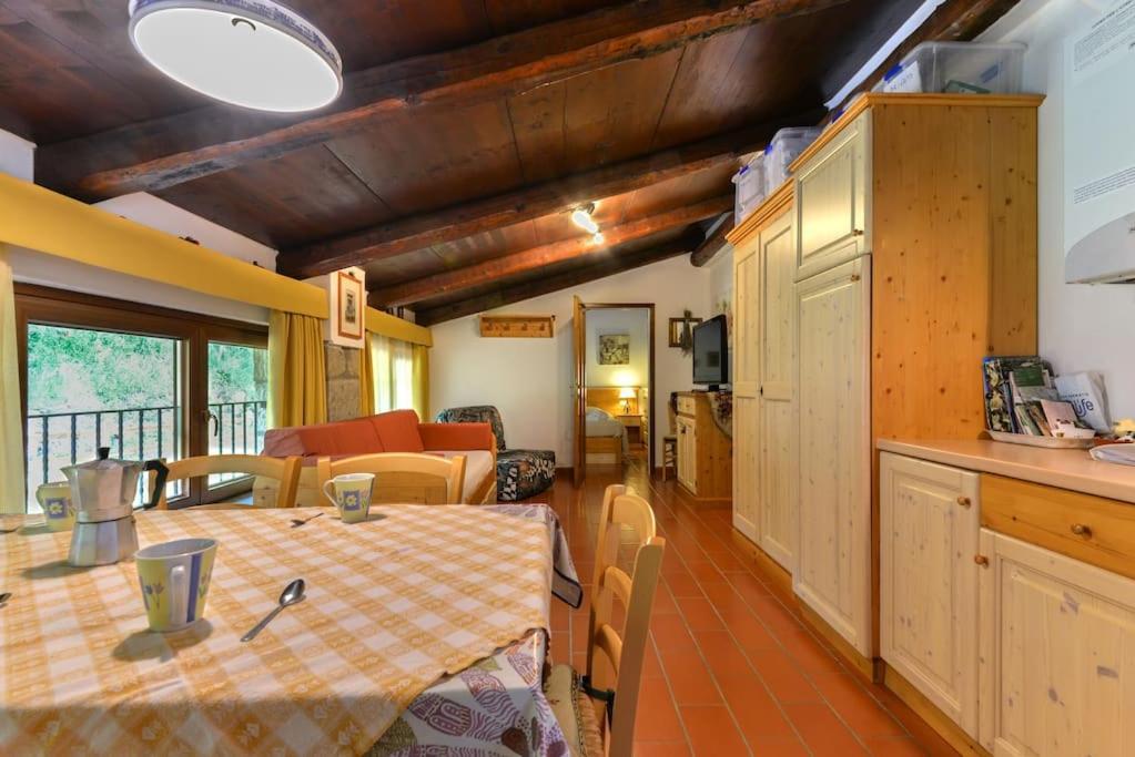 38-Volpini House In Amiata - Val D'Orcia, Saturnia, Feste&Sagre Castel del Piano  Ngoại thất bức ảnh